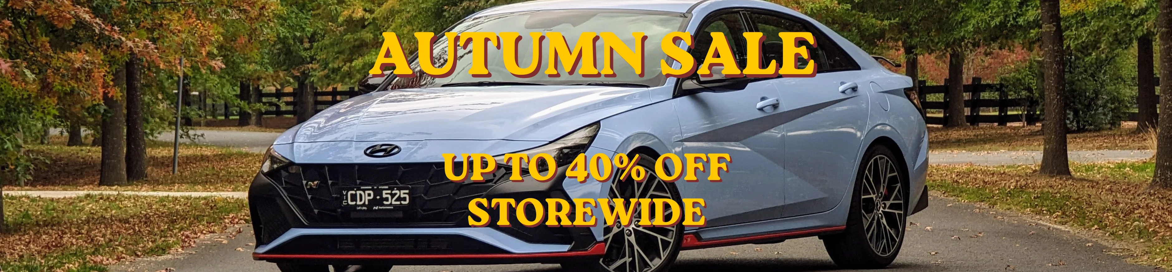 Master Your Vehicle's Shine